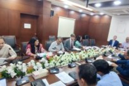 DCE WG Meeting (2024-11-17)4